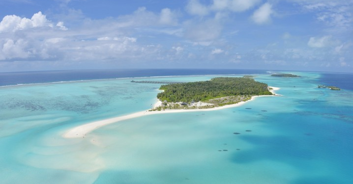 Sun Island Resort Maldives Doubles Tripadvisor Reviews with Reputize